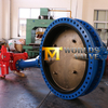 Gear Operated Cast Iron Di Double Flanged Butterfly Valve with C954 Disc Extension Stem