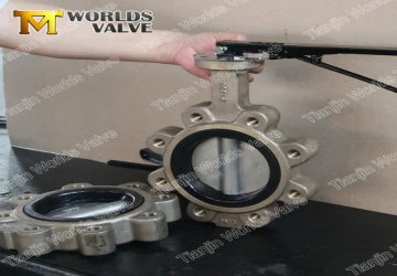 How to fix lug butterfly valve?