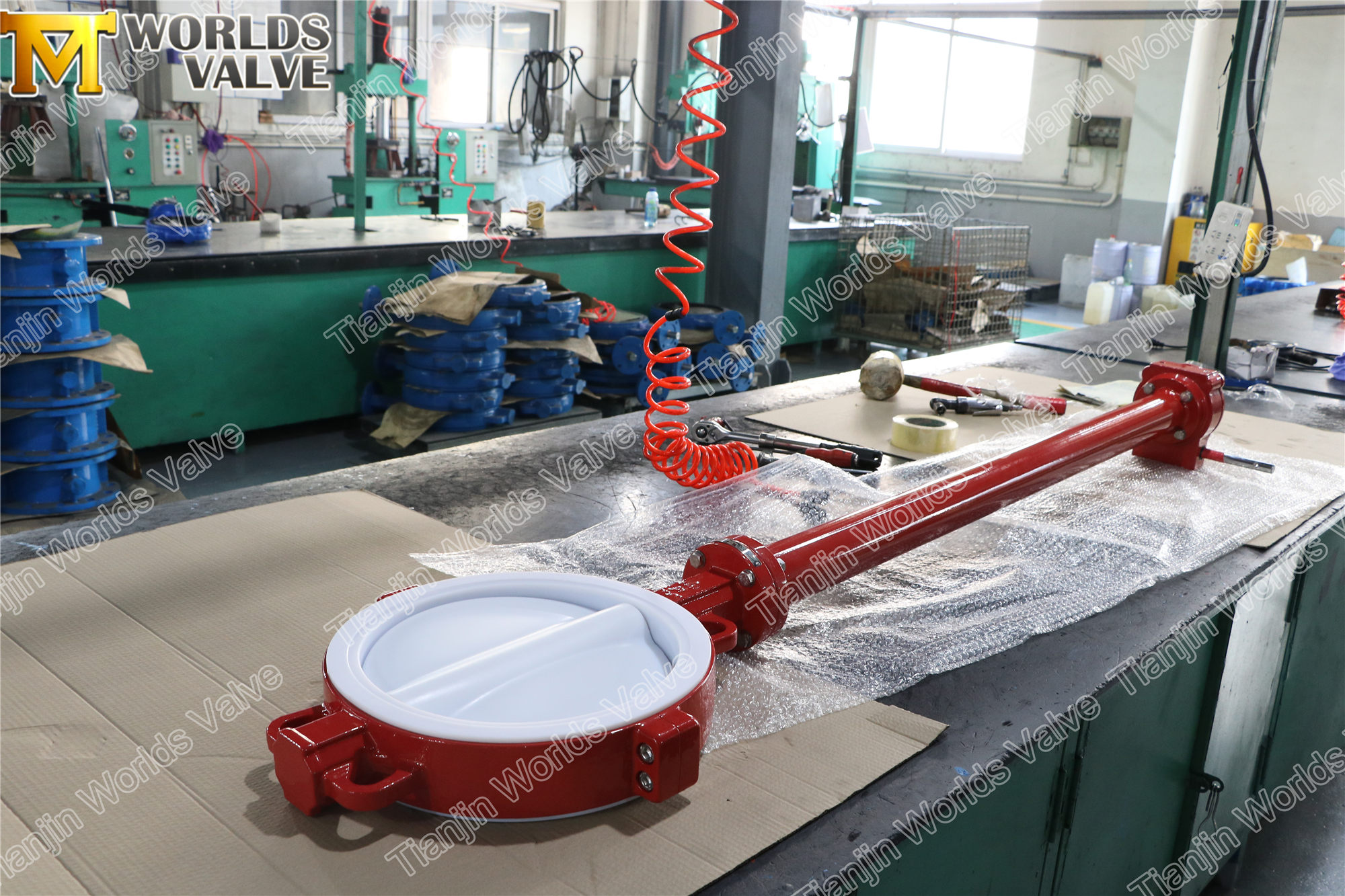 PTFE Lined butterfly valve with extension stem (4)