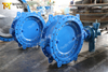 High Performance Double Offset Butterfly Valve from China Valve Factory-Tianjin Worlds Valve Co.,Ltd.