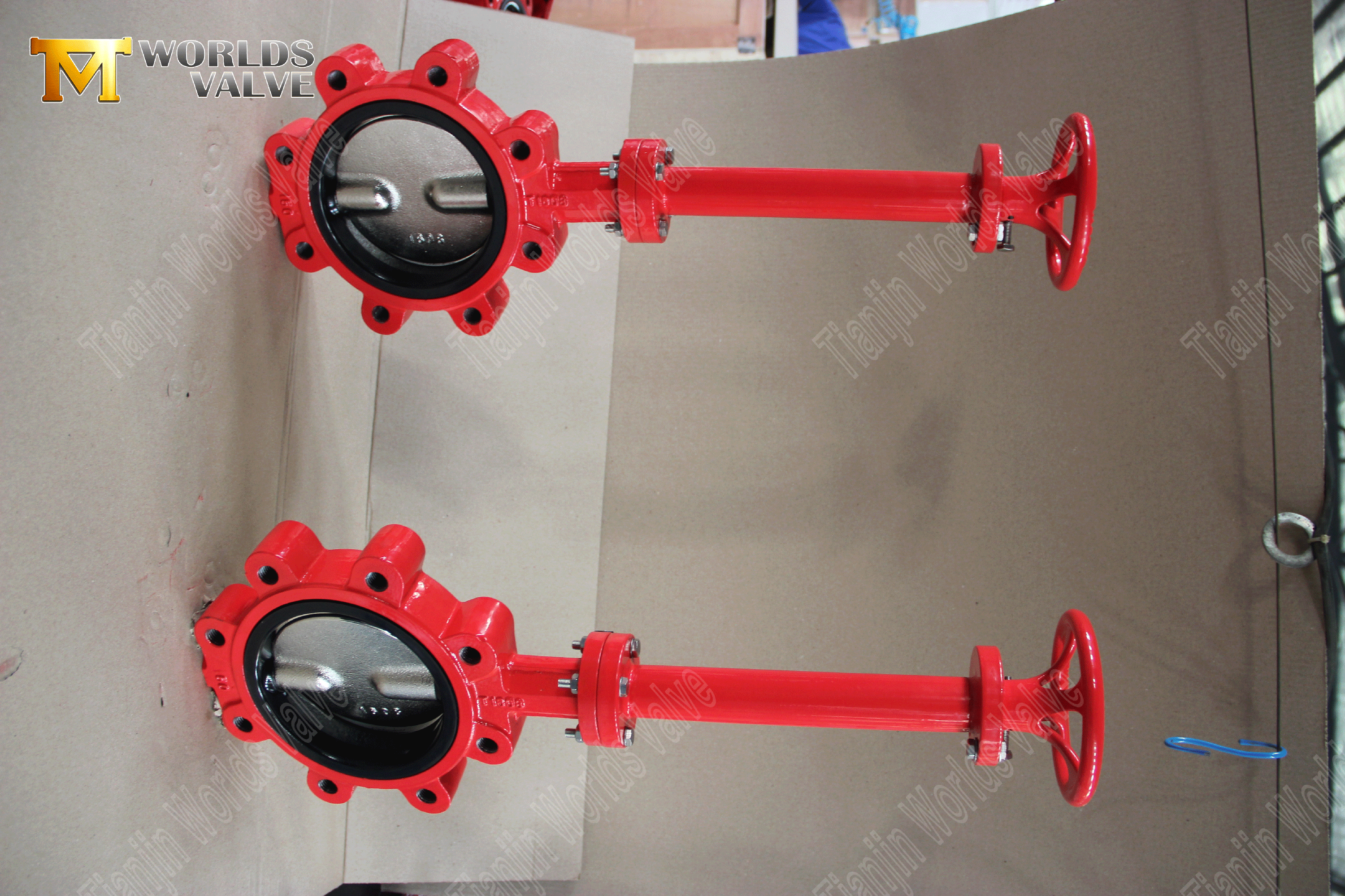 Lug Concentric Butterfly Valve with Worm Gear