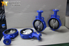 Butterfly Valves with Wafer Type and DI Valve Body And Disc produced by China Valve Manufacturer-Tianjin Worlds Valve Co.,Ltd.