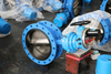 Buterfly Valve with DI Disc Resilient Seated supplied by China valve factory-Tianjin Worlds Valve Co.,Ltd.