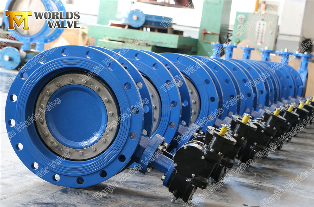 4 EN558 series 14 DOUBLE FLANGED BUTTERFLY VALVE