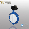 PTFE Coated Lugged Full Lug Butterfly Valve Two Pieces Body API609