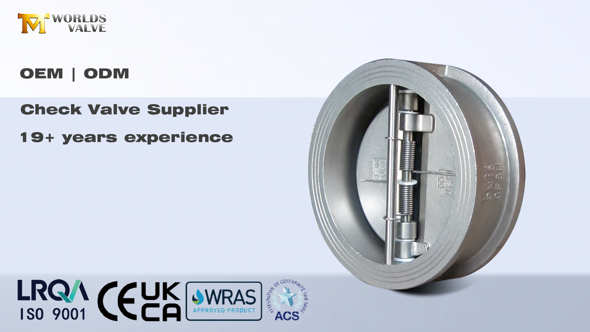 Check Valves: Essential Backflow Prevention for Industrial Systems | Worlds Valve