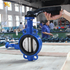 Wafer Butterfly Valve with Hard Back Rubber Seat & SS Disc OEM Butterfly Valve Supplier-Tianjin Worlds Valve Co., Ltd.