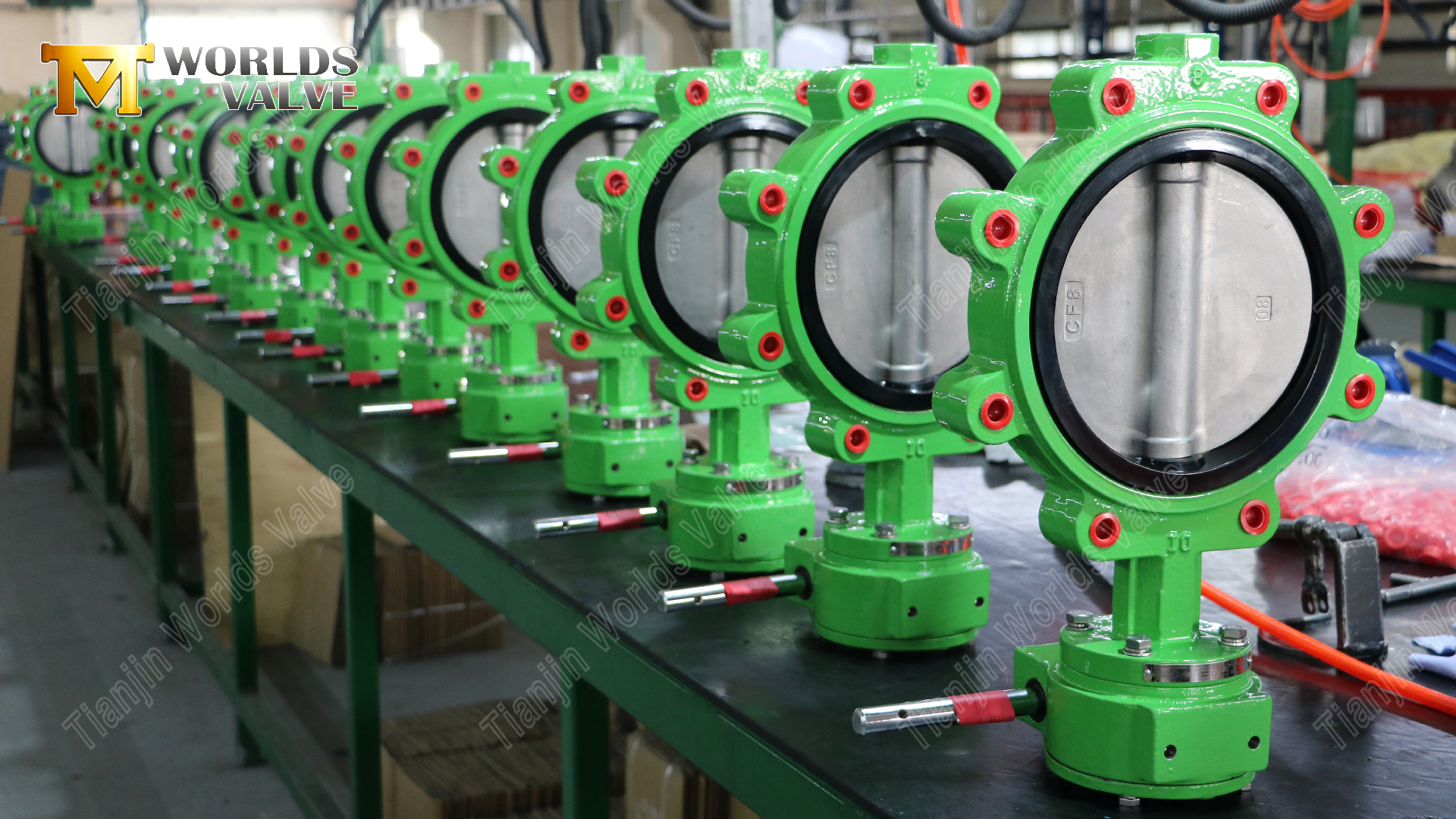 PN16-LUG-Butterfly-Valve-Ductile-Iron-Body-&-CF8M-Disc-7