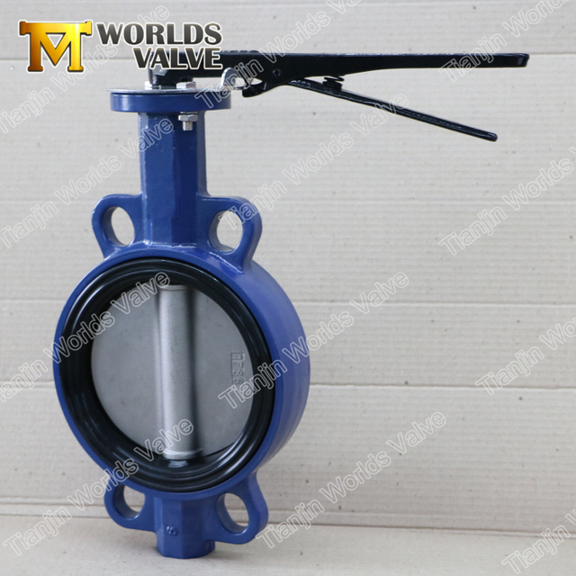 Ductile Iron Wafer Butterfly Valve with Tongue Groove Replaceable Seat