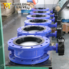 Double Flanged Connection Water Regulator Butterfly Valve