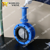 Extension long stem Double Flange Butterfly Valve with Gear Operator