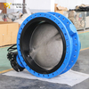EPDM Lined butterfly valve with CF8M disc and Gearbox produced by China Valve Manufacturer-Tianjin Worlds Valve