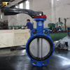 Customizable Butterfly Valve from China OEM Valve Supplier-Tianjin Worlds Valve Co.,Ltd.
