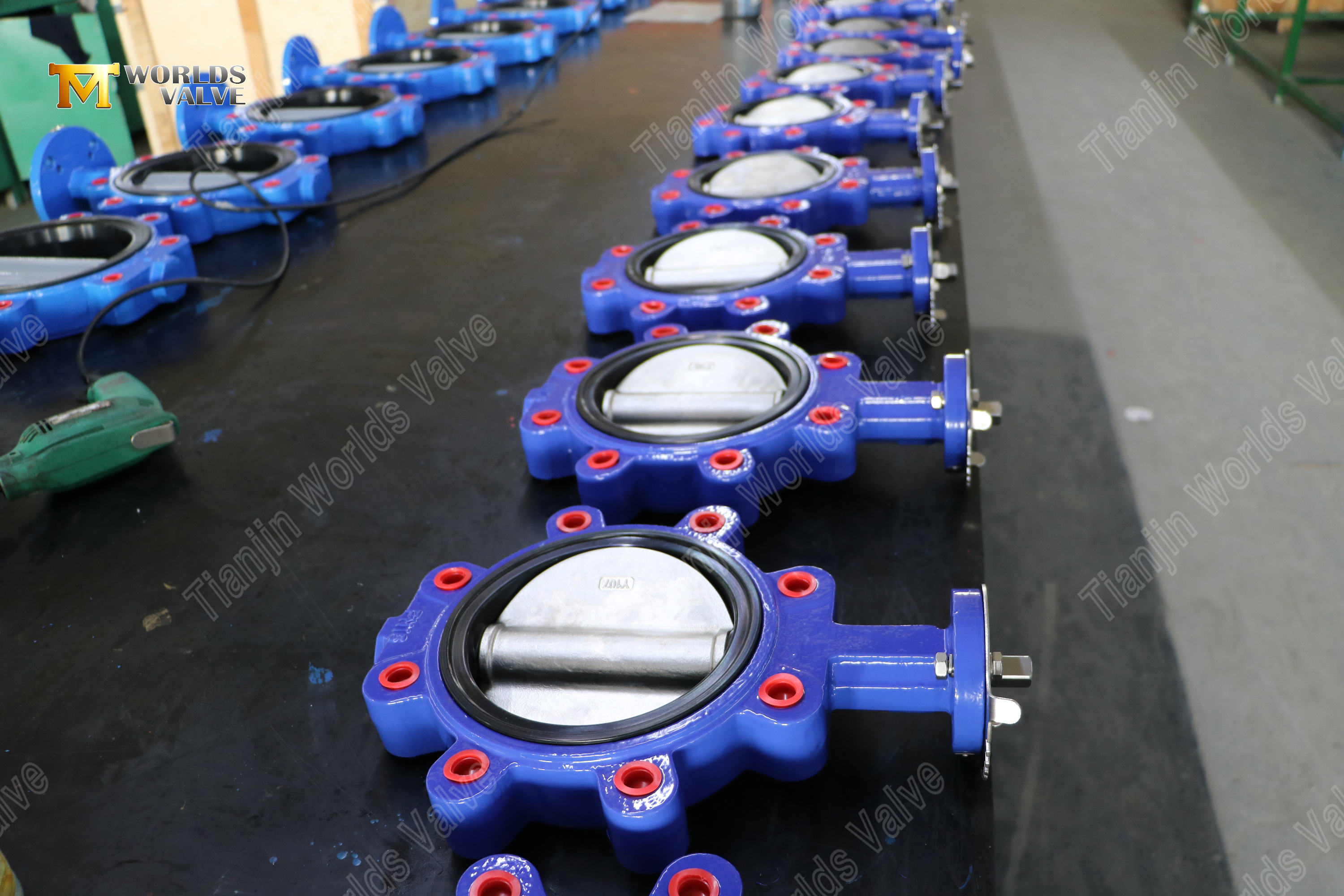 Lug Type Butterfly Valve with Replaceable EPDM Seat DI Body CF8M Disc OEM Supplier (9)