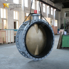 C95400 Aluminum Bronze Disc Butterfly Valve from China Valve Factory-Tianjin Worlds Valve Co.,Ltd.