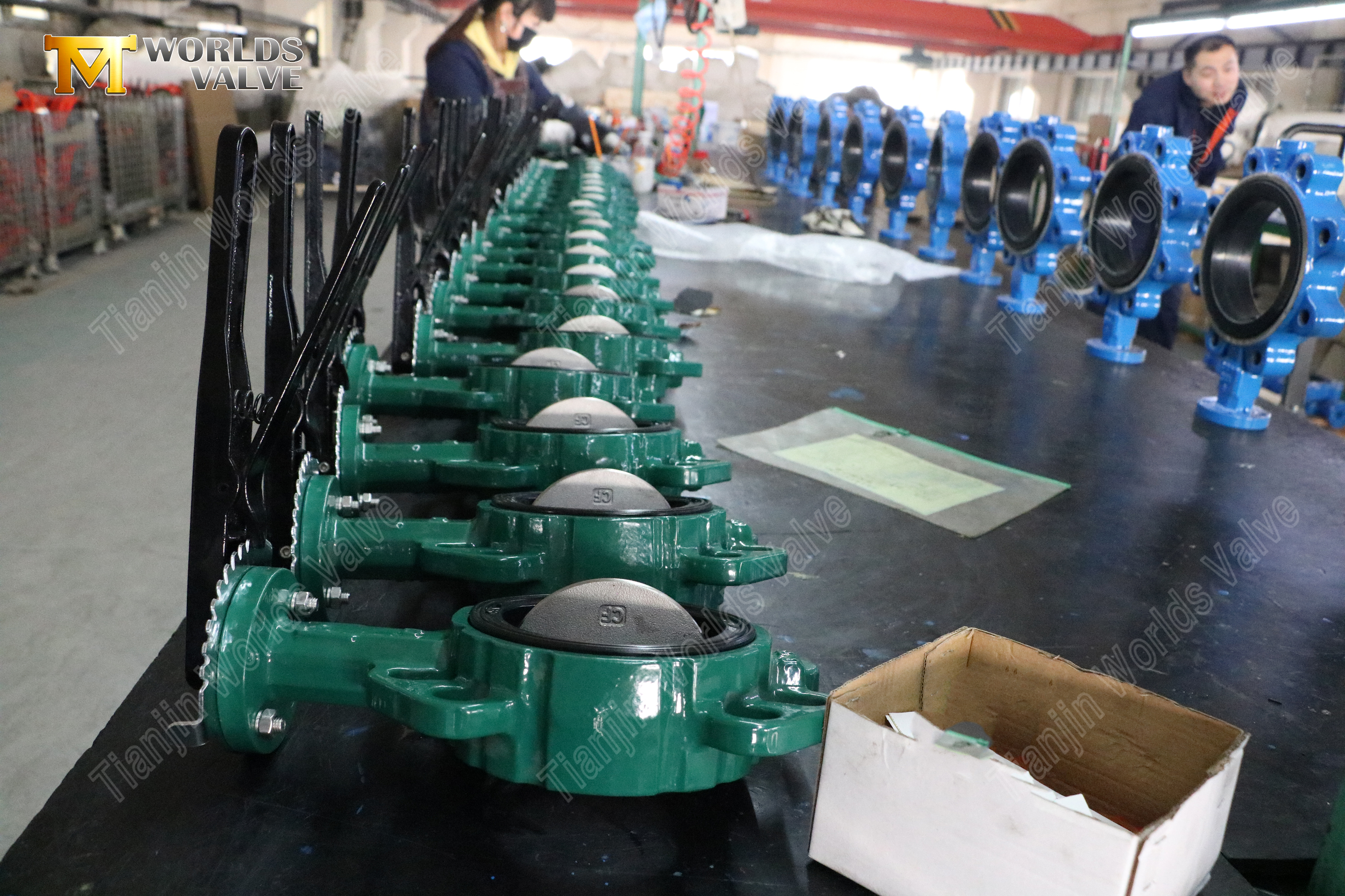 Wafer Butterfly Valve with Removable Seat Lever Operated Easy Maintenance Design-1 (3).jpg