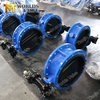 Centre Sealing Double Flanged Butterfly Valve with Full Rubber Coated Disc