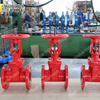 Rising stem Cast Iron Rubber Wedge Gate Valve for Low Pressure