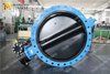 Halar Painted Disc U Section Rubber Butterfly Valves