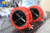 OEM Full Rubber Coated Double Flanged Butterfly Valves