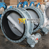 Nylon 11 coated painting disc flanged butterfly valve 