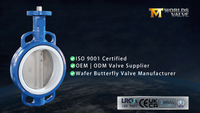 //ikrorwxhnjoklo5p-static.micyjz.com/cloud/lkBprKiklmSRqlkinpiqiq/Concentric-Wafer-Butterfly-Valve-DI-Body-CF8-Disc-PTFE-Seat-PN16.png