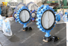 Concentric lugged type Rubber Lining Nylon coated disc butterfly valve with Tapped Hole