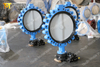 Nylon coating Disc Lugged Butterfly valves with Gearbox Operator