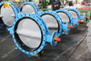 Nylon Coating Disc Double U-section Flanged Butterfly Valve with Loose Liner Seat