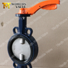 PN6 PN10 PN16 PN25 CL125 Cl150 Two shaft Butterfly Valves with AS TableD Table E Flanges Connection