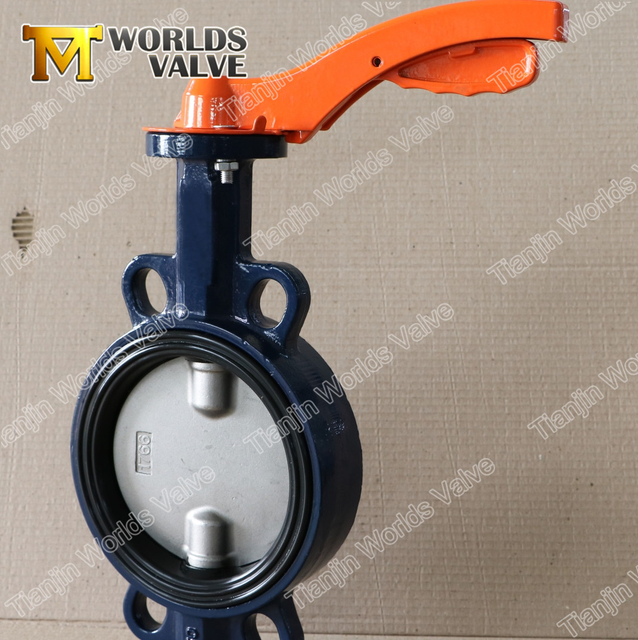 PN6 PN10 PN16 PN25 CL125 Cl150 Two shaft Butterfly Valves with AS TableD Table E Flanges Connection