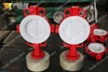 Two PCS Body design PTFE Liner Butterfly Valves PN10 PN16 CLASS150 