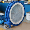 butterfly valve with PTFE seat ultra-pure corrosion defence supplied by China Valve Supplier-Tianjin Worlds Valve Co., Ltd.