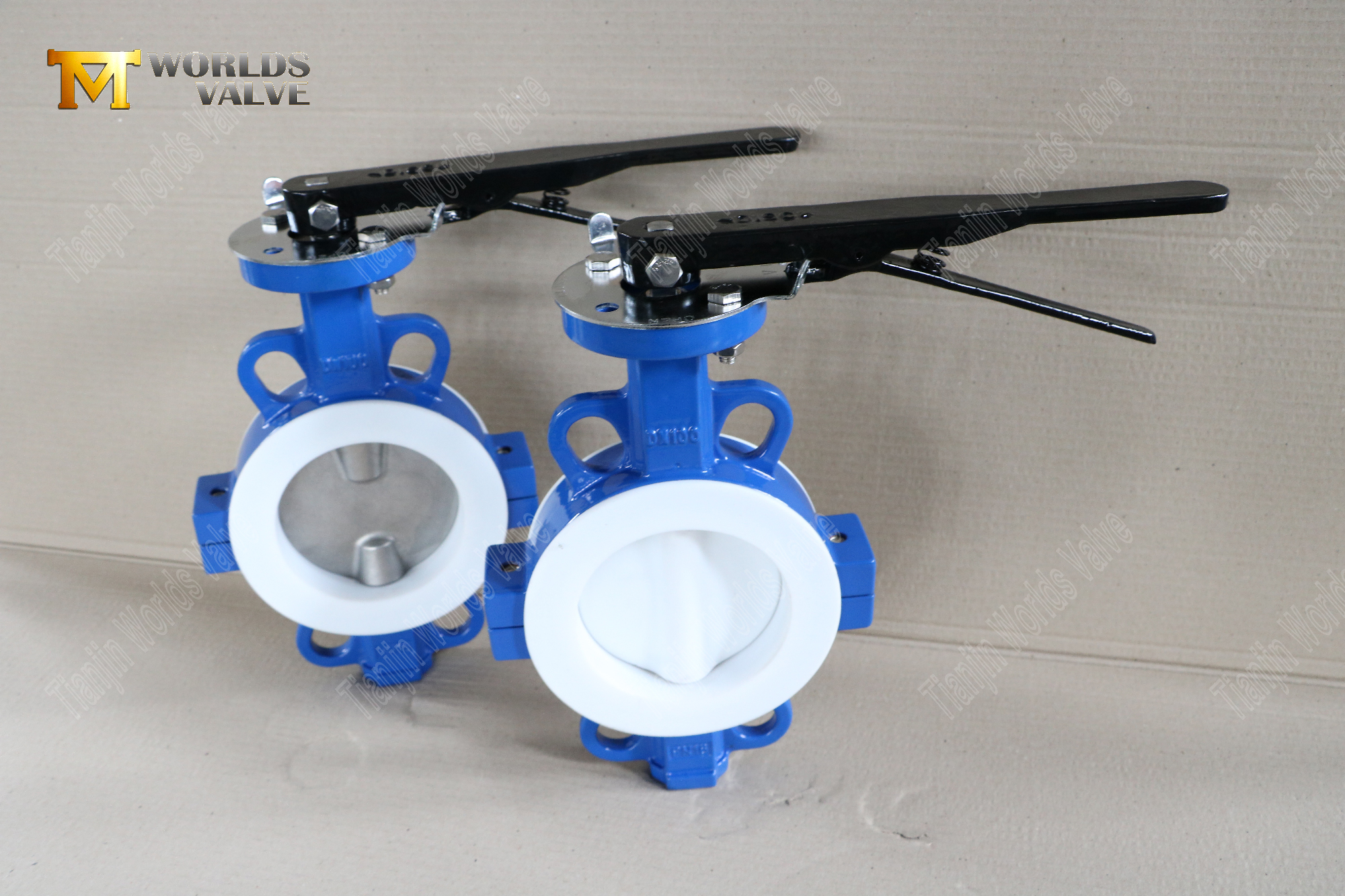 DN100-Teflon-Lined-Wafer-Split-Body-Butterfly-Valves--Corrosion-Resistant-Flow-Control-(2)