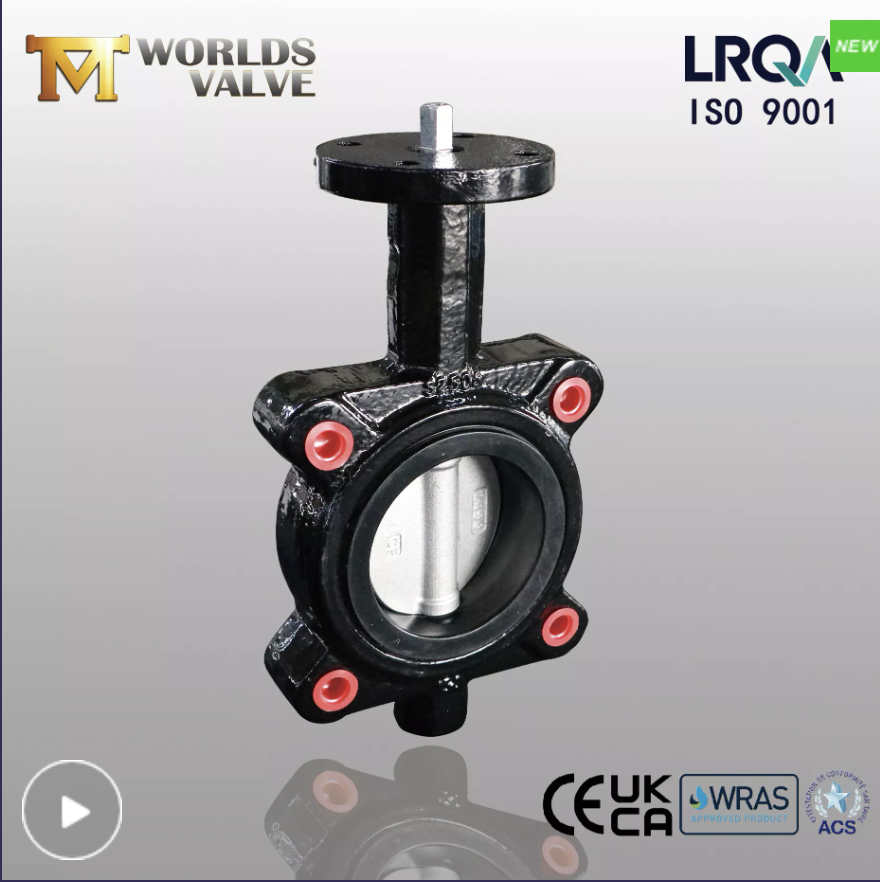 lug butterfly valve