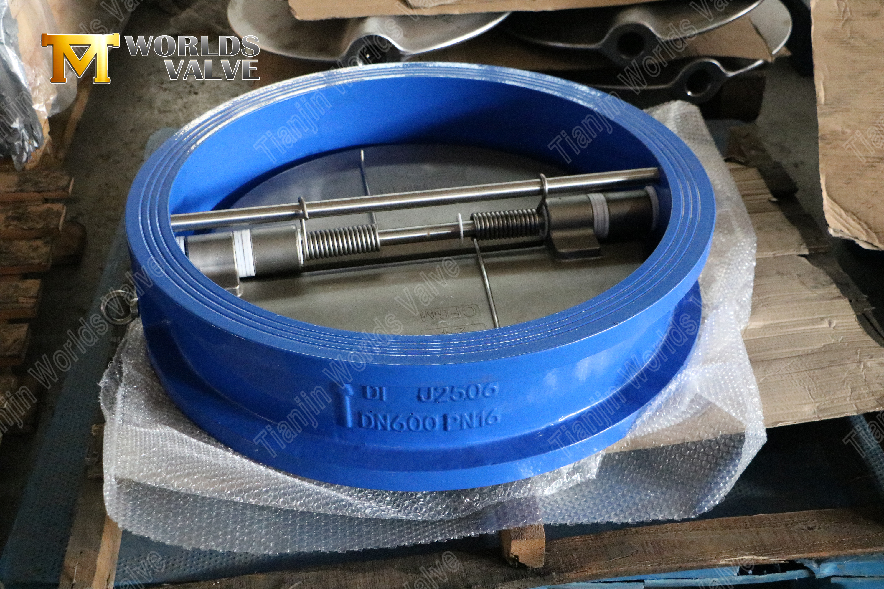 Stainless Steel Double Disc Wafer Type Non-Return Valve Zero-Leakage Backflow Prevention-1 (3)
