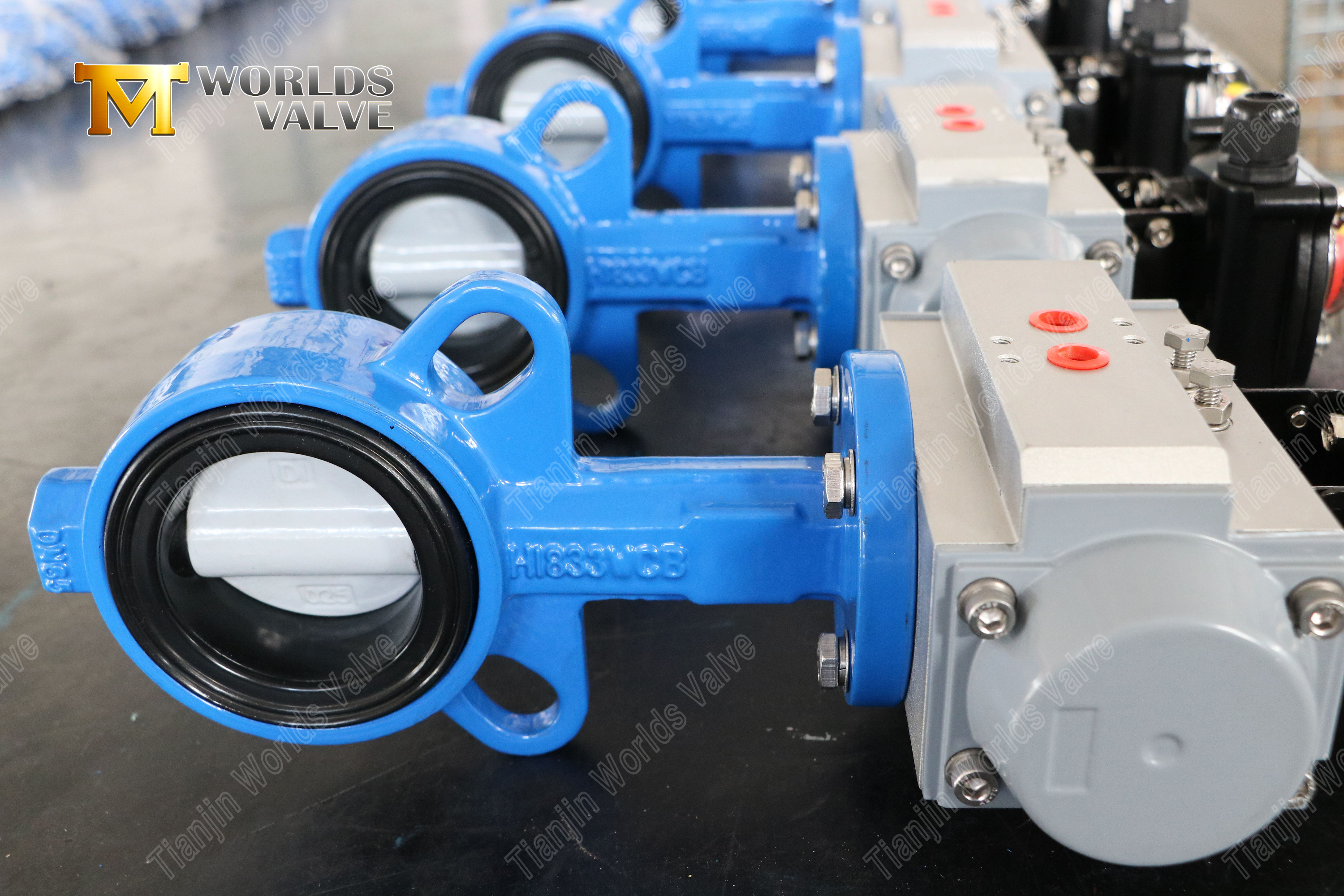 Wafer Butterfly Valve with Nylon Coated Disc & WCB Body Cost-Effective Corrosion Resistance-1 (3)