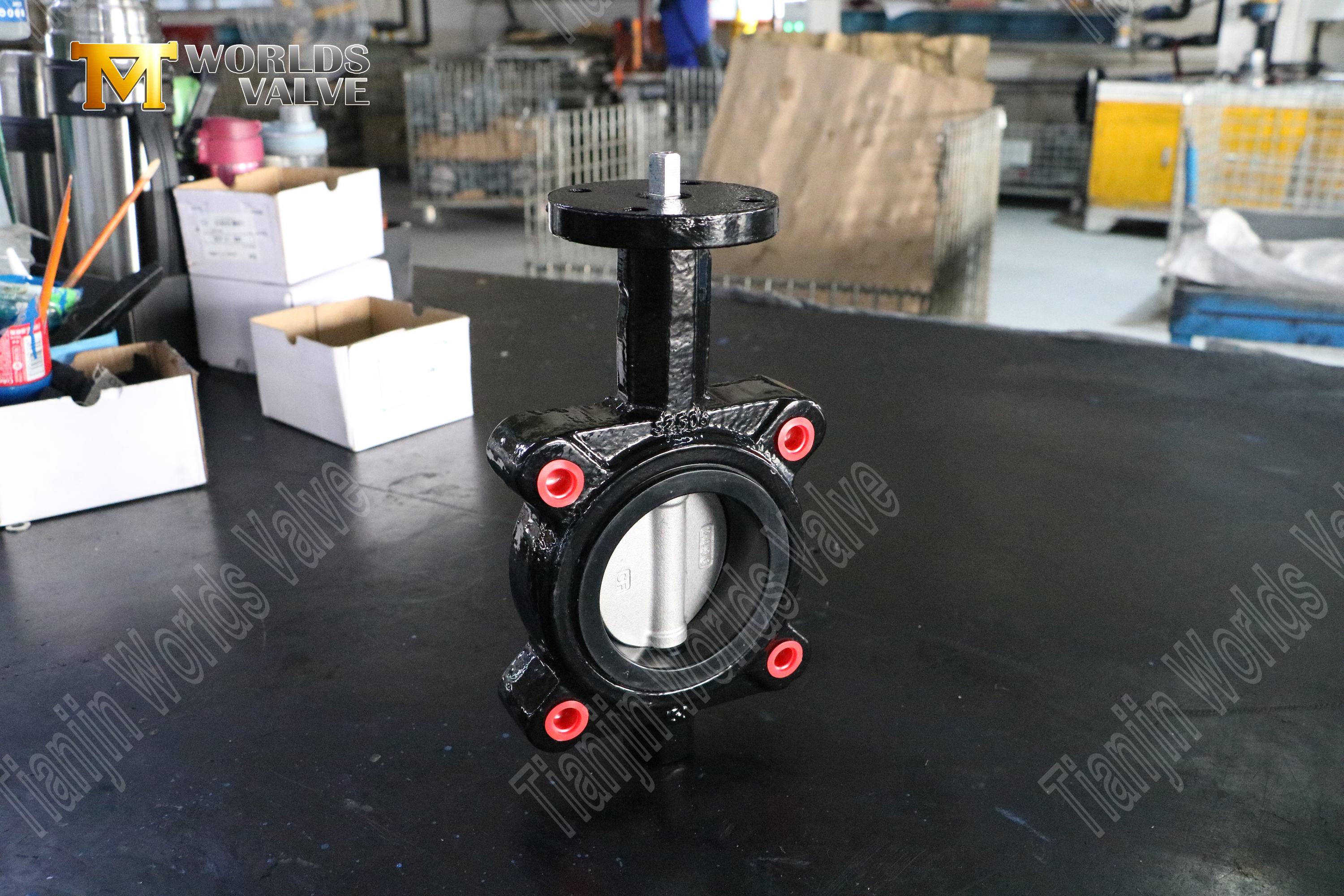 EPDM seat butterfly valve with CF8M disc-lug type butterfly valve manufacturer-1 (3)