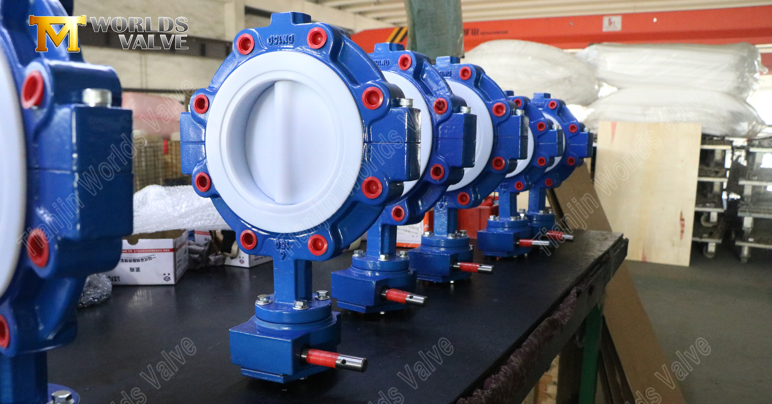 Split Body Teflon Sealed Lug Butterfly Valves (1)