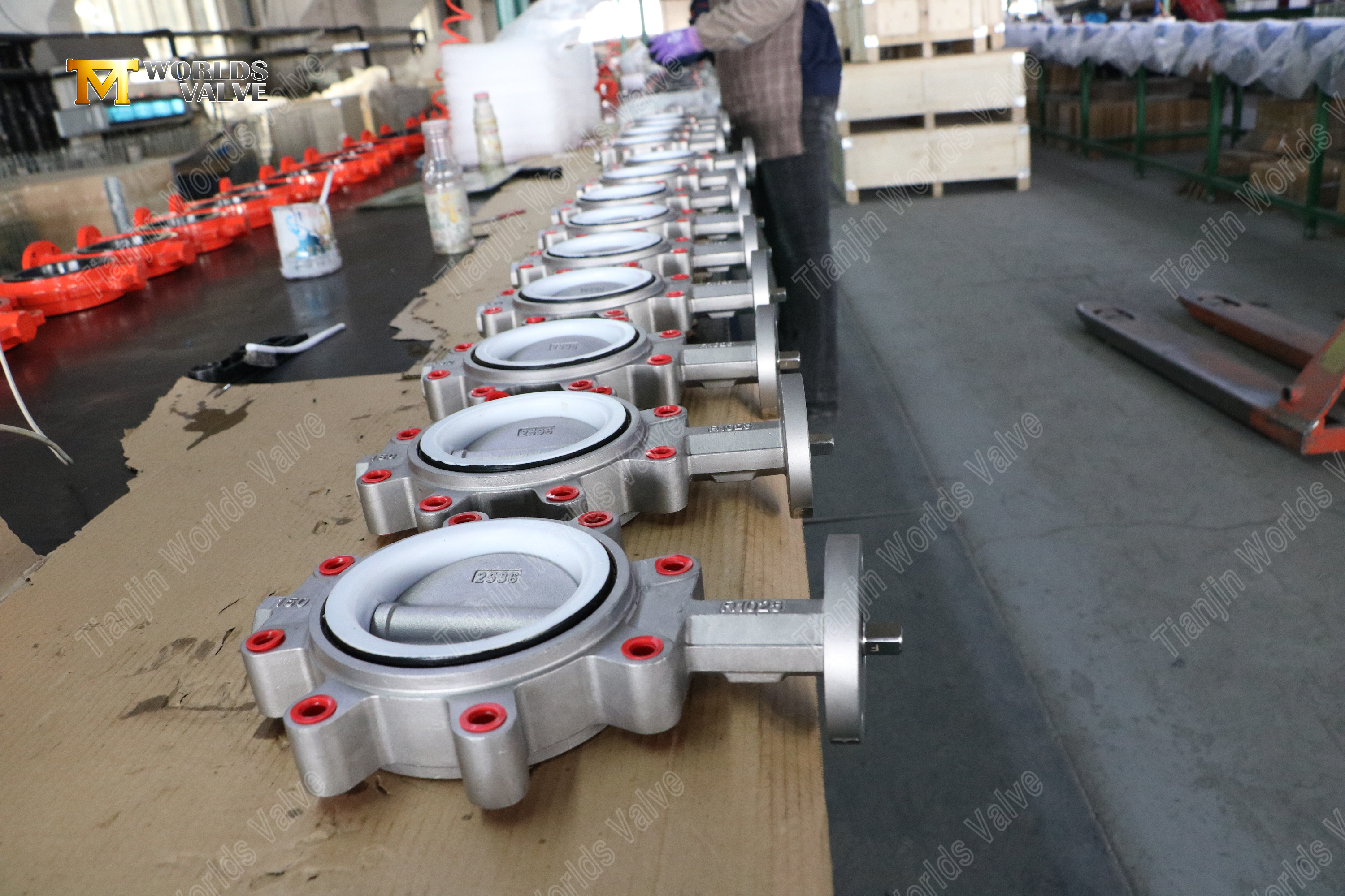 Stainless Steel Lug Butterfly Valve with PTFE Seat (7)