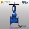 BS5163 Flanged Resilient-Seated Gate Valve with Rising Stem | Reliable Water Control Solution-Tianjin Worlds Valve Co., Ltd.
