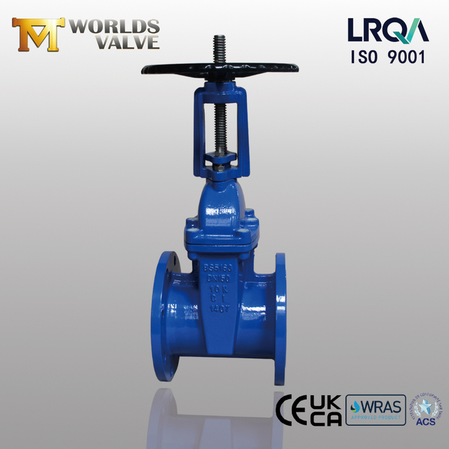BS5163 Flanged Resilient-Seated Gate Valve with Rising Stem | Reliable Water Control Solution-Tianjin Worlds Valve Co., Ltd.