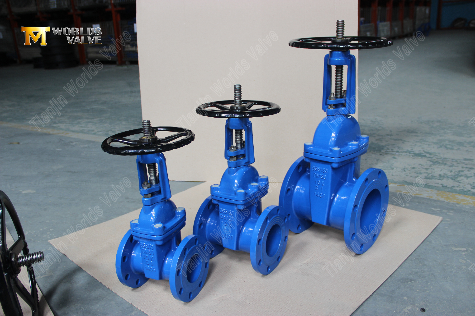 BS5163 Flanged Resilient-Seated Gate Valve with Rising Stem Reliable Water Control Solution-1 (2)
