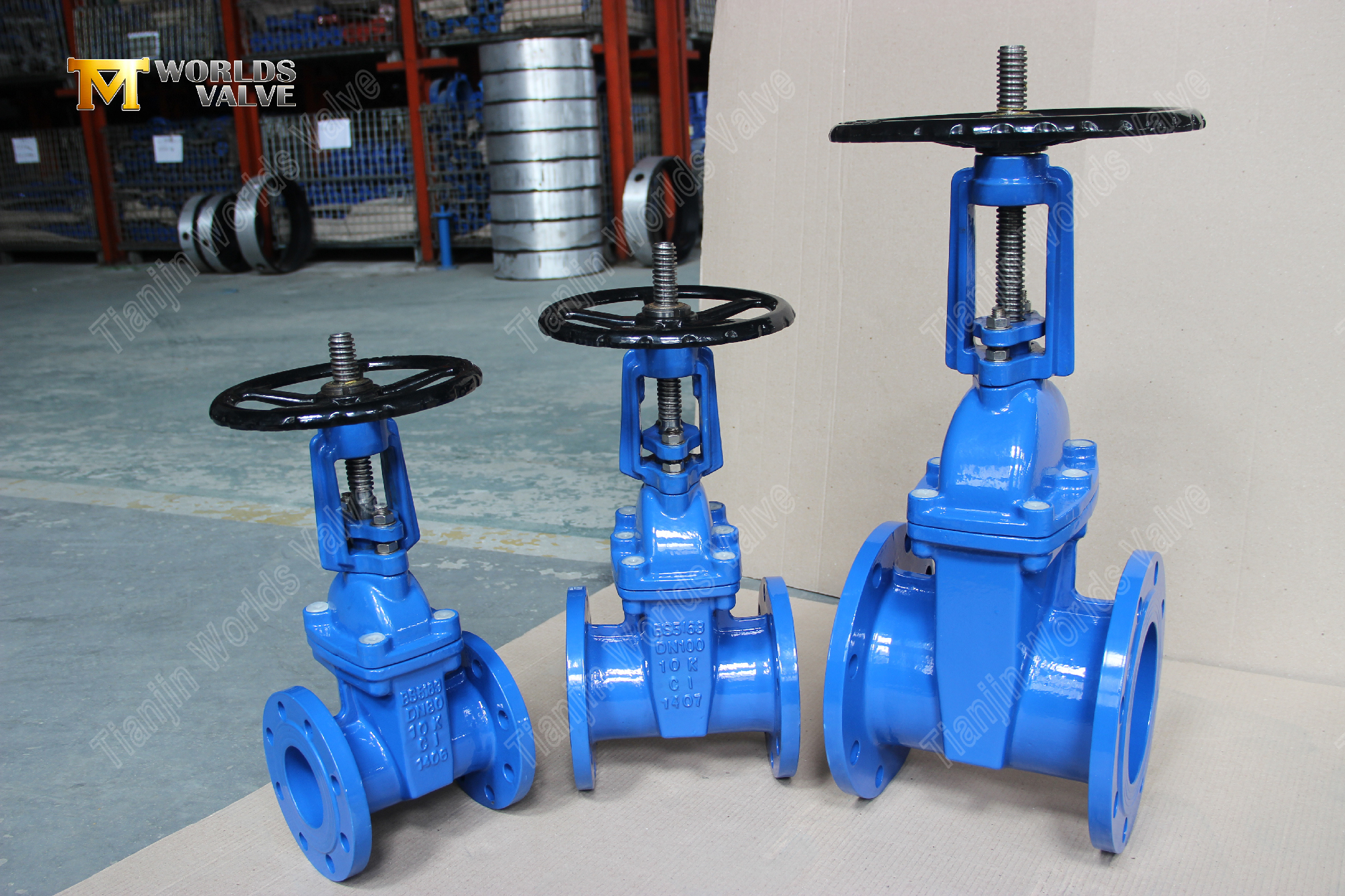 BS5163 Flanged Resilient-Seated Gate Valve with Rising Stem Reliable Water Control Solution-1 (1)