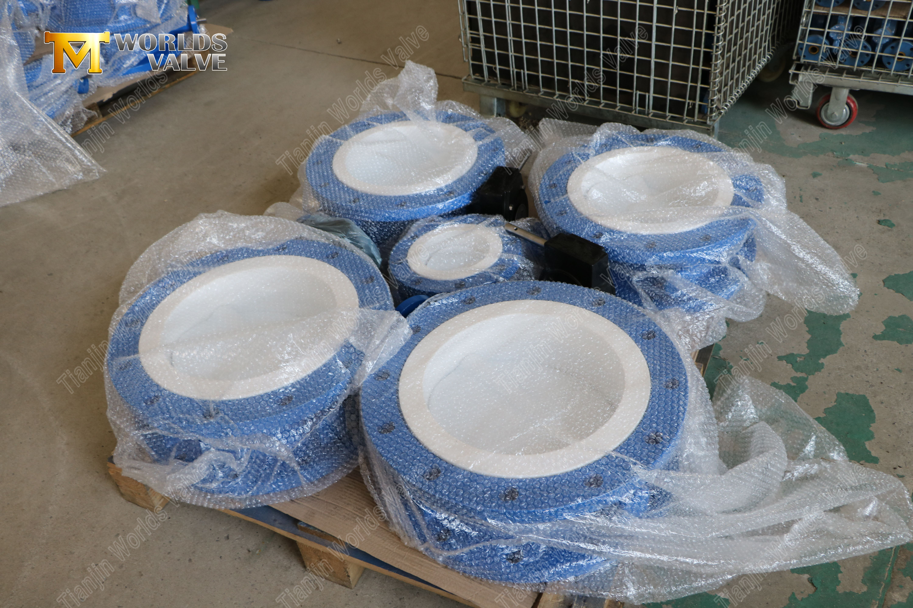 PTFE Lined Flanged Butterfly Valves-1 (3)