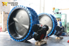 Gear Operated Cast Iron Di Double Flanged Butterfly Valve with C954 Disc Extension Stem