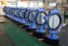 DI Disc with Nylon Coated Butterfly Valves with Lug Type design provided by Tianjin Worlds Valve Co.,Ltd.