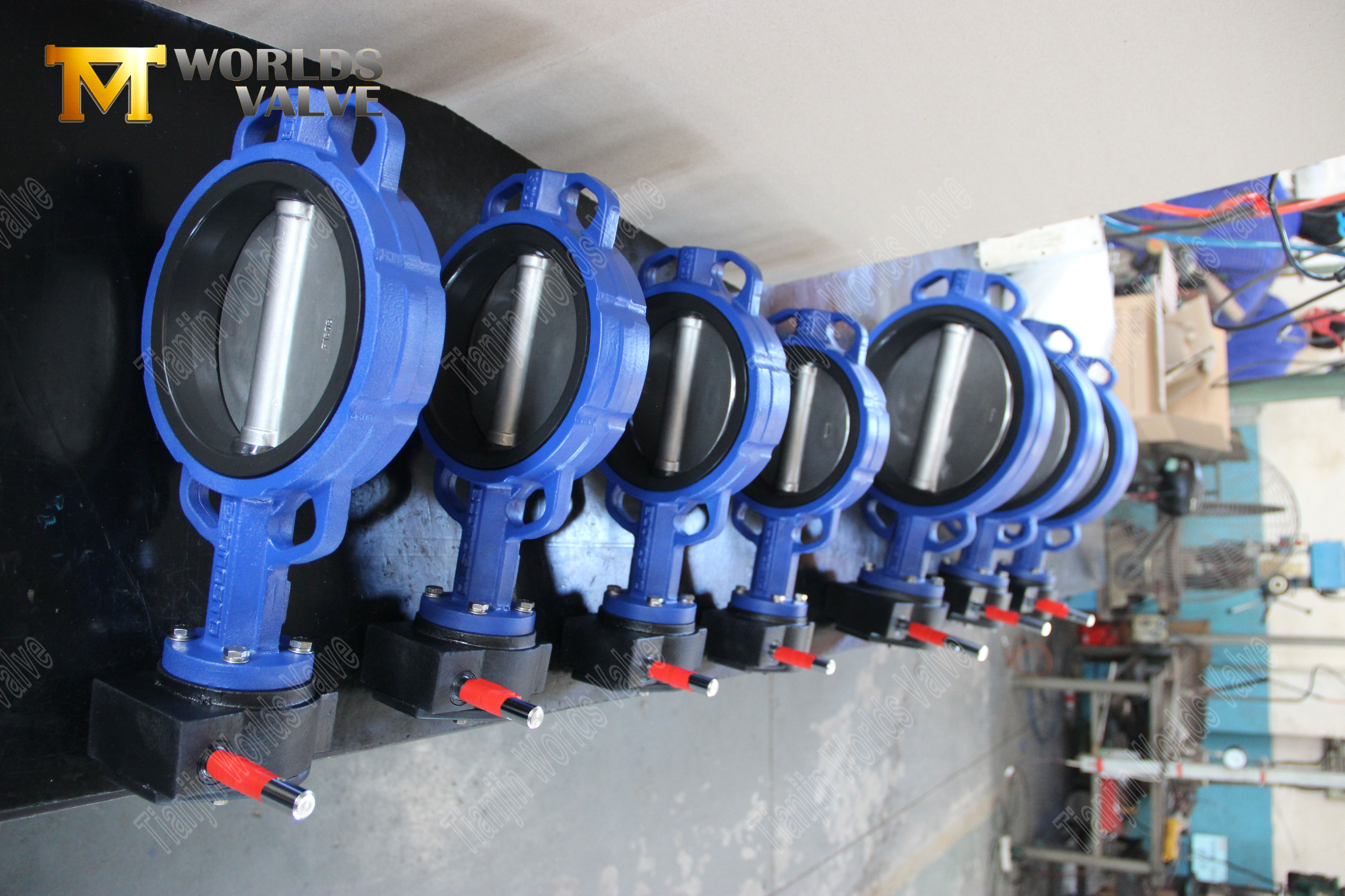 rubber lined wafer butterfly valve with SS disc (5)