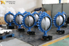 Concentric Full Lug Type Butterfly Valves with Worm Gear Operator produced by China Valve Supplier-Tianjin Worlds Valve Co.,Ltd.