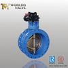 Double Eccentric Double Flanged Butterfly Valve En558 Series 13 and Series 14